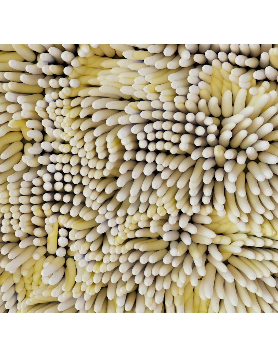 Why Barrier Health Is More Than Just Moisture