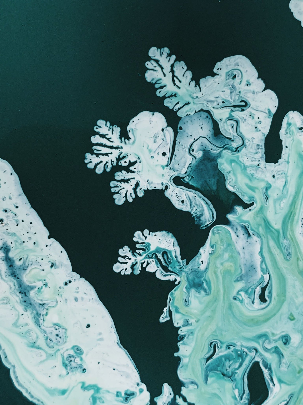 The Hidden Role of Ceramides in Microbiome and Barrier Repair - Skynbio Skincare