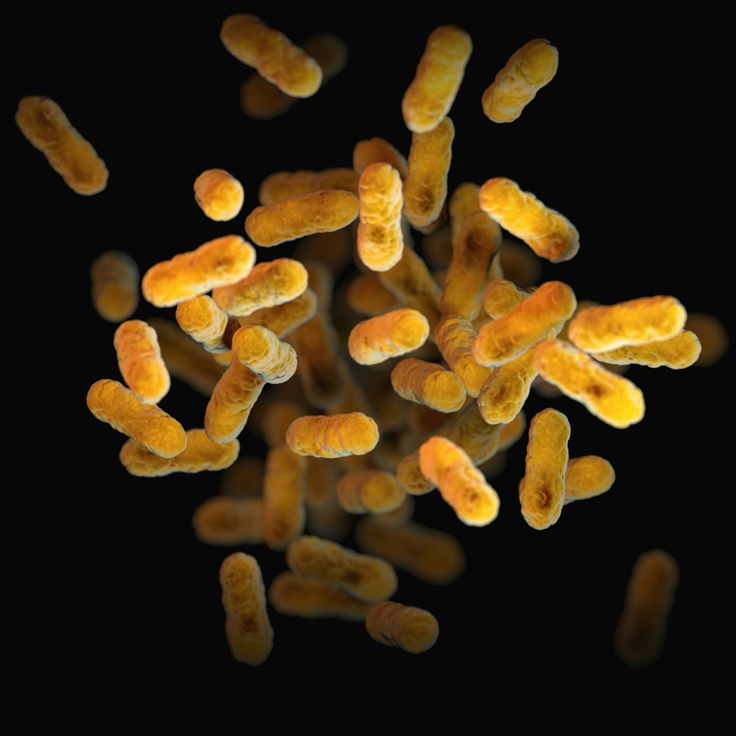 Why You Should Care About Microbiome-Safe Skincare - Skynbio Skincare